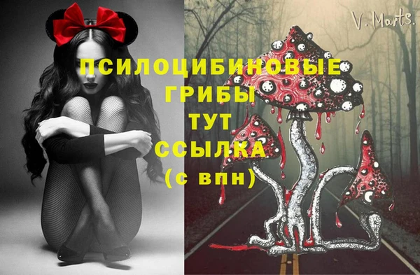 прущая мука Иннополис