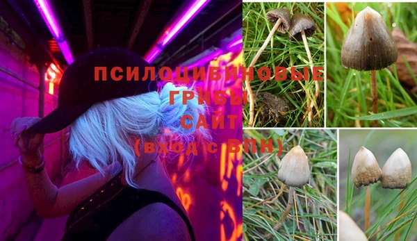 прущая мука Иннополис