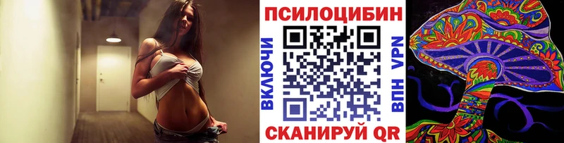 Купить закладки  Цимлянск  Псилоцибиновые грибы MAGIC MUSHROOMS 